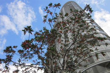 好听的a字开头的英文网名潮流